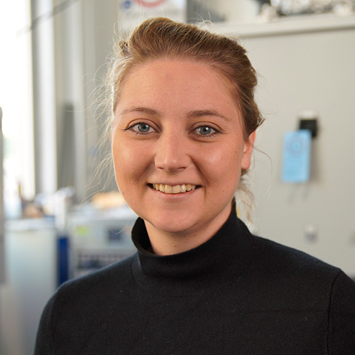 Prof. Dr. Katharina Herkendell